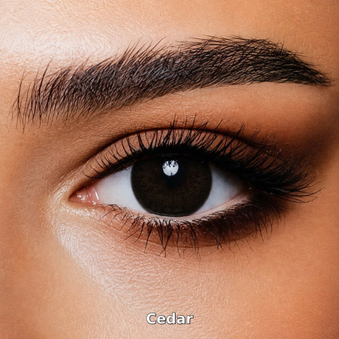 Bella One Day Cedar coloured contact lens worn on a brown eye
