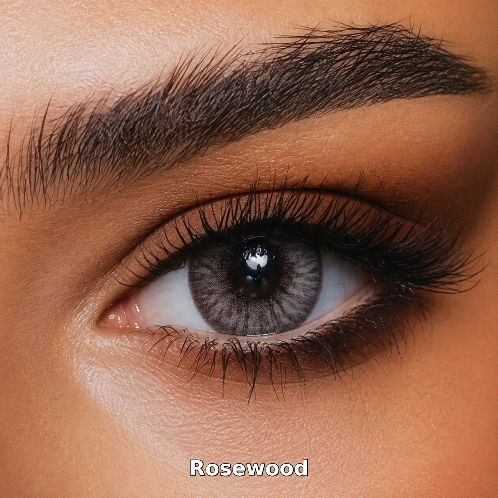 Bella One Day Rosewood coloured contact lens worn on a brown eye