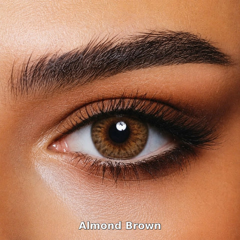 Bella One Day Almond Brown coloured contact lens worn on a brown eye