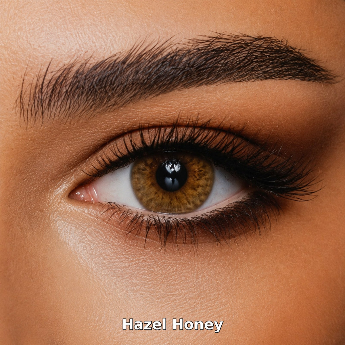 Bella One Day Hazel Honey coloured contact lens worn on a brown eye