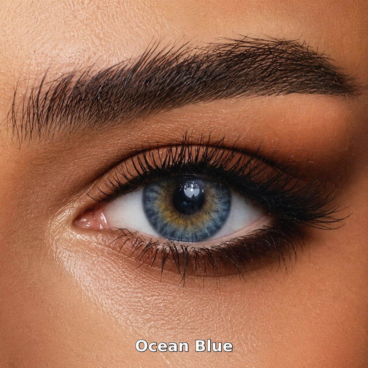 Bella One Day Ocean Blue coloured contact lens worn on a brown eye