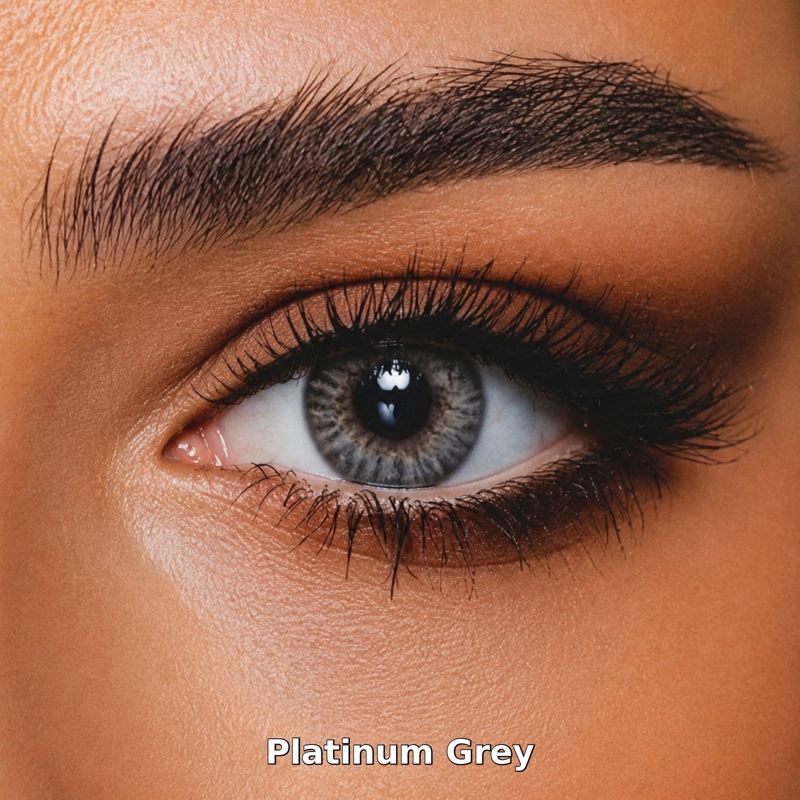 Bella One Day Platinum Grey coloured contact lens worn on a brown eye