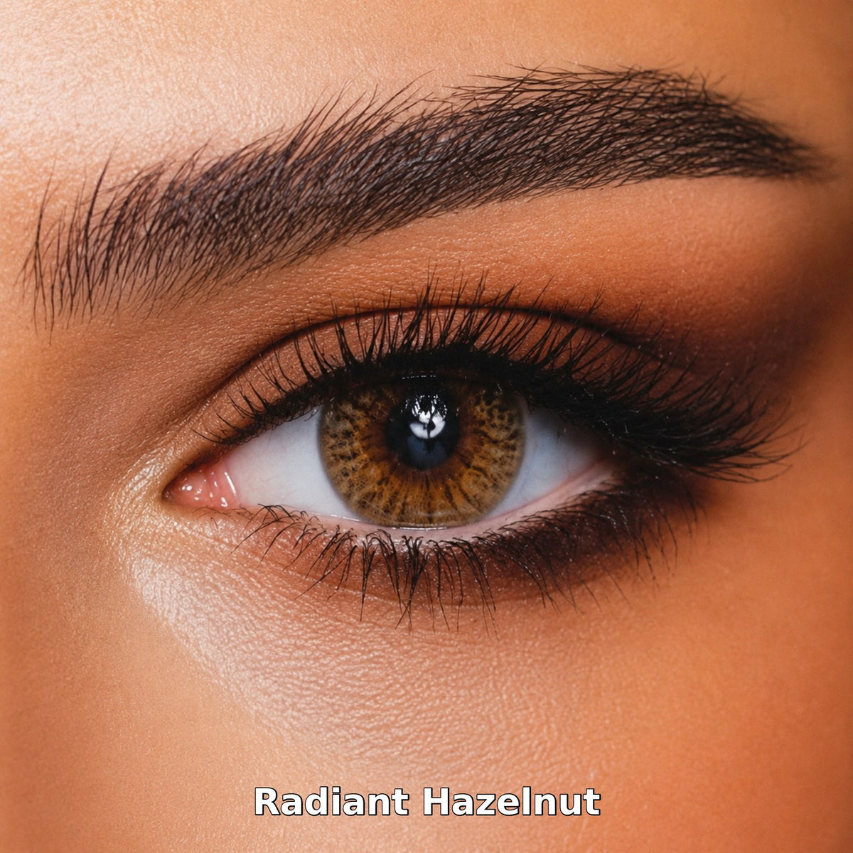 Bella One Day Radiant Hazelnut coloured contact lens worn on a brown eye