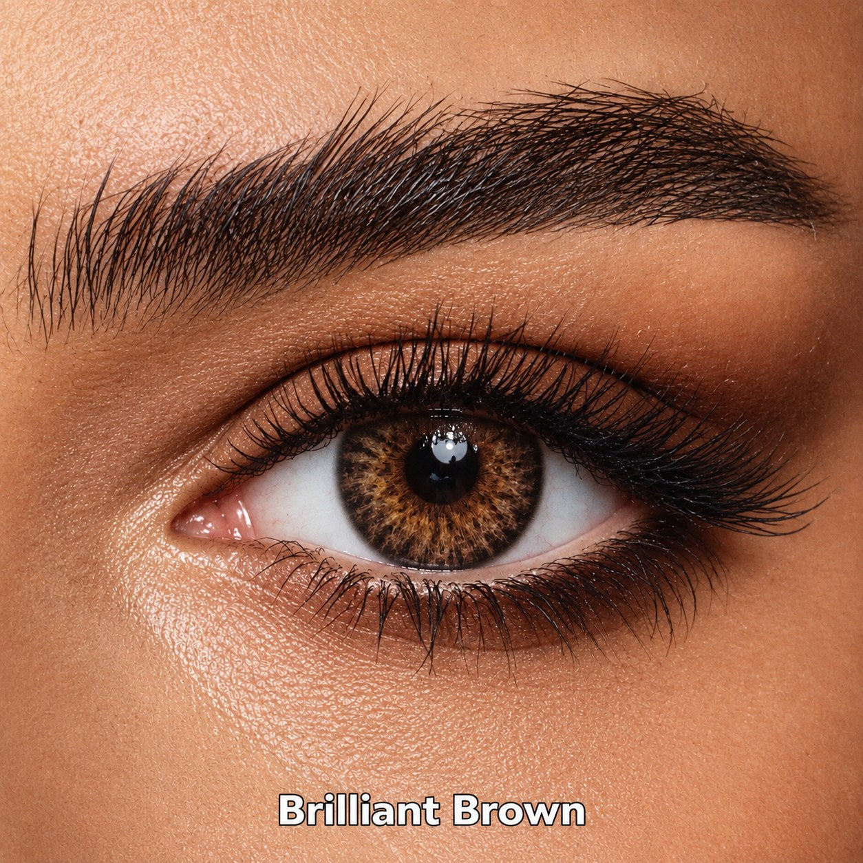 FreshKon Colors Fusion Brilliant Brown coloured contact lens worn on a brown eye