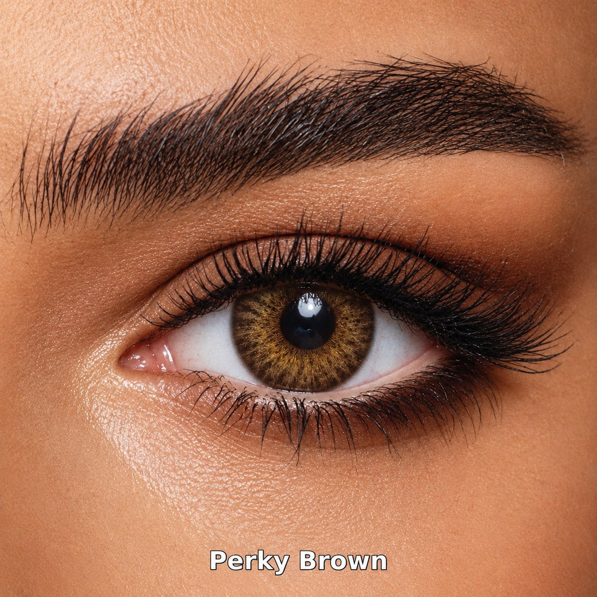 FreshKon Colors Fusion Perky Brown coloured contact lens worn on a brown eye