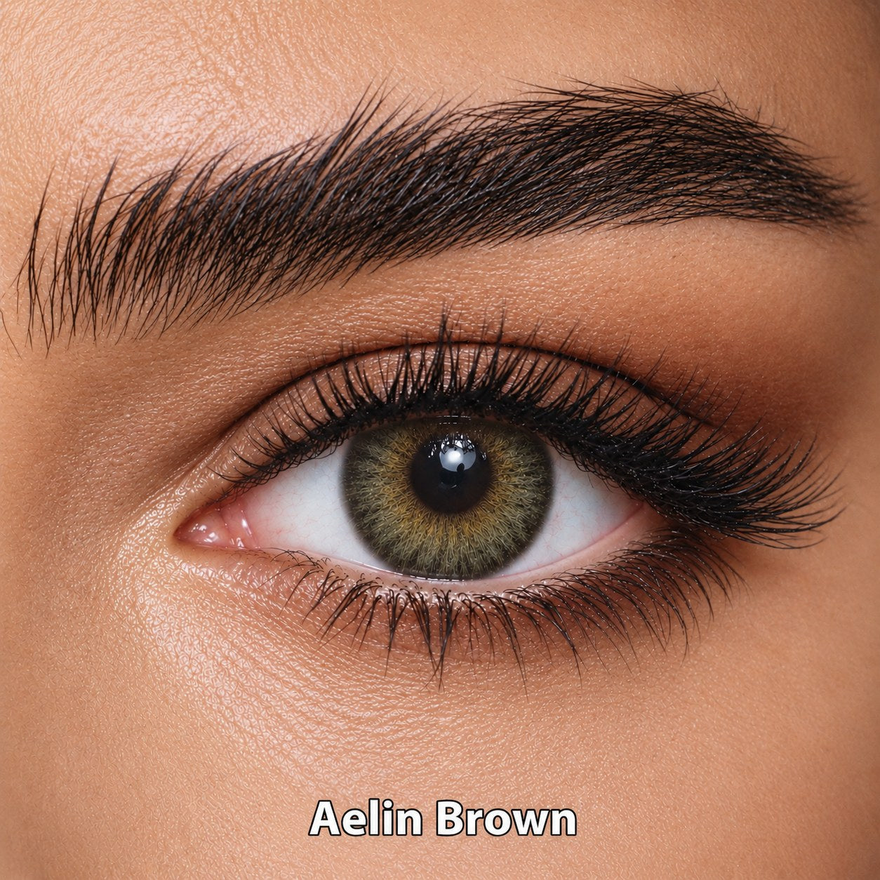 FreshKon Naho Aelin Brown coloured contact lens worn on a brown eye