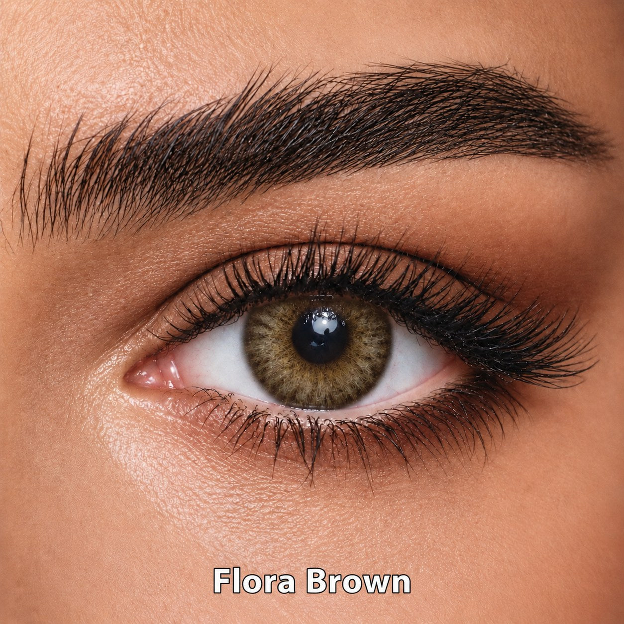 FreshKon Naho Flora Brown coloured contact lens worn on a brown eye